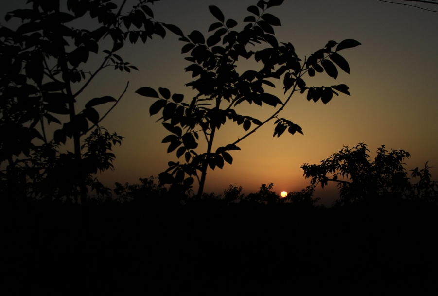 _MG_0042.jpg
