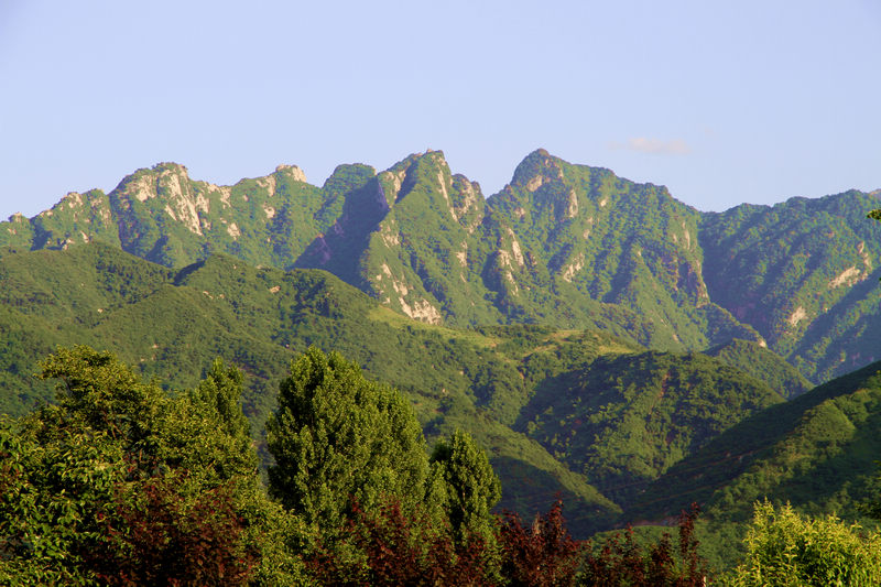 _MG_9913.JPG