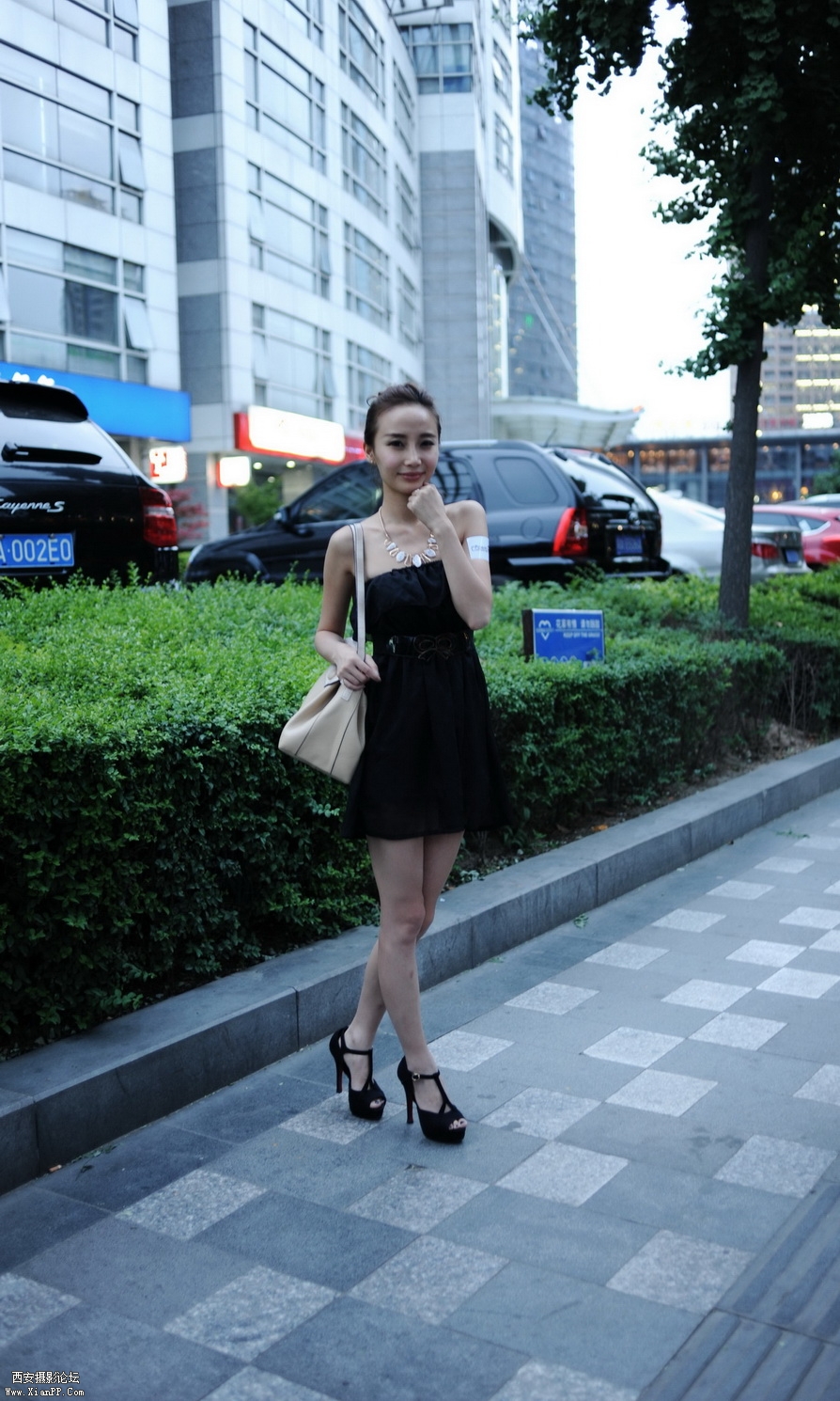 DSC_7785.JPG