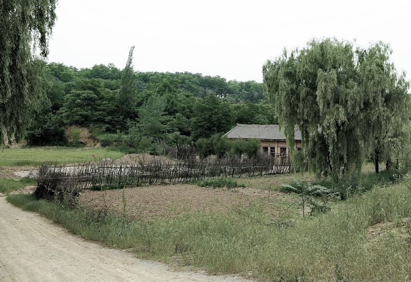 DSC_0005.jpg