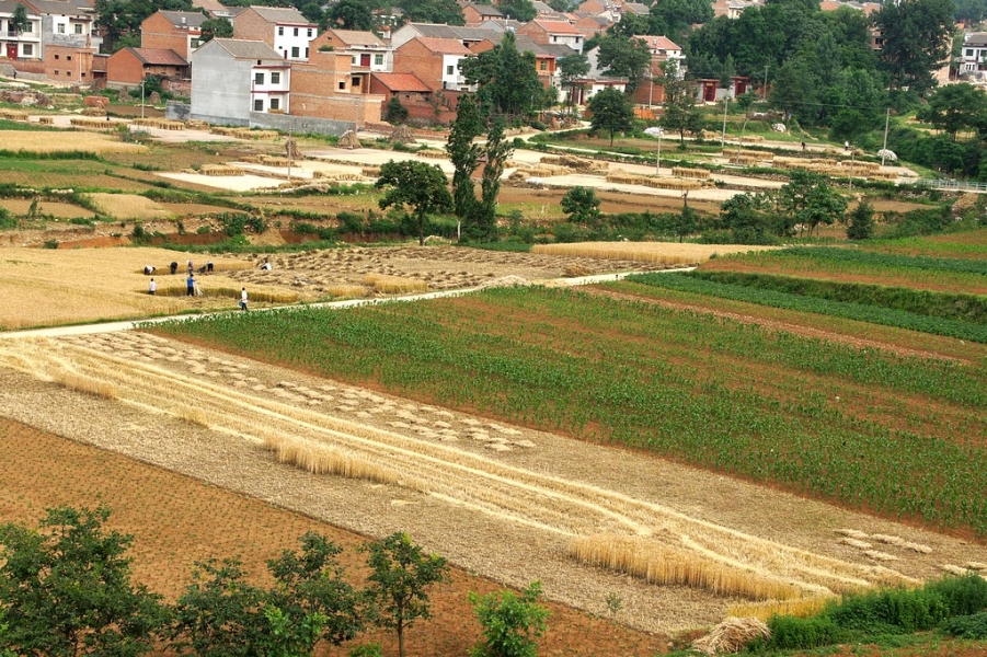 FENGGUANG 157A.jpg