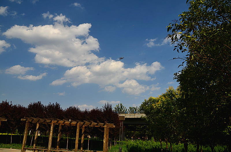 照片 038_副本.jpg