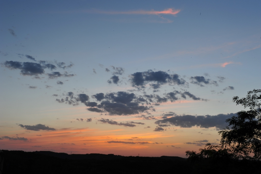 DSC_7834.jpg