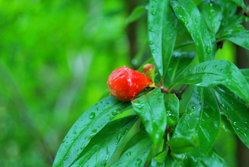 DSC_3516_副本.jpg