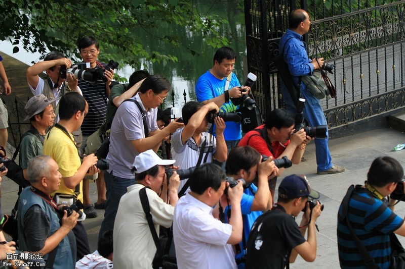 黄山旅游照片 129.jpg