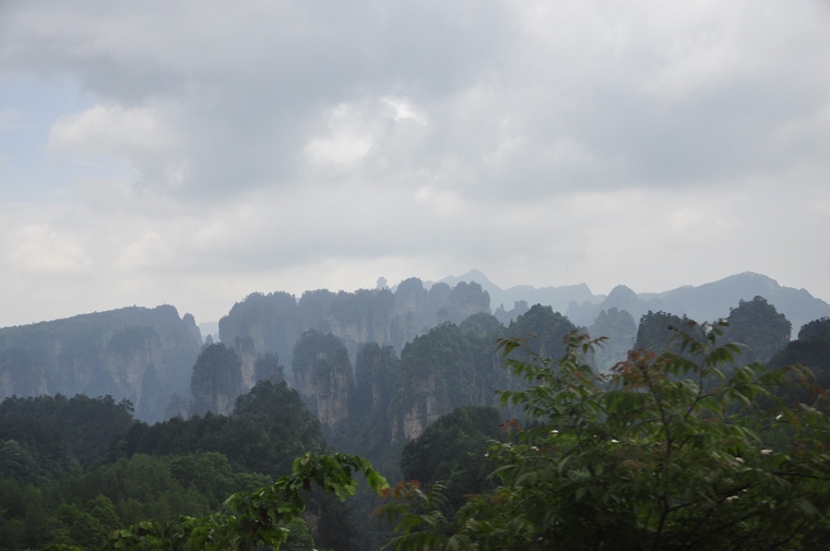 小巴上隔着窗户拍的