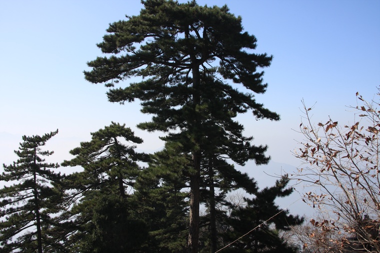 照片 474.jpg