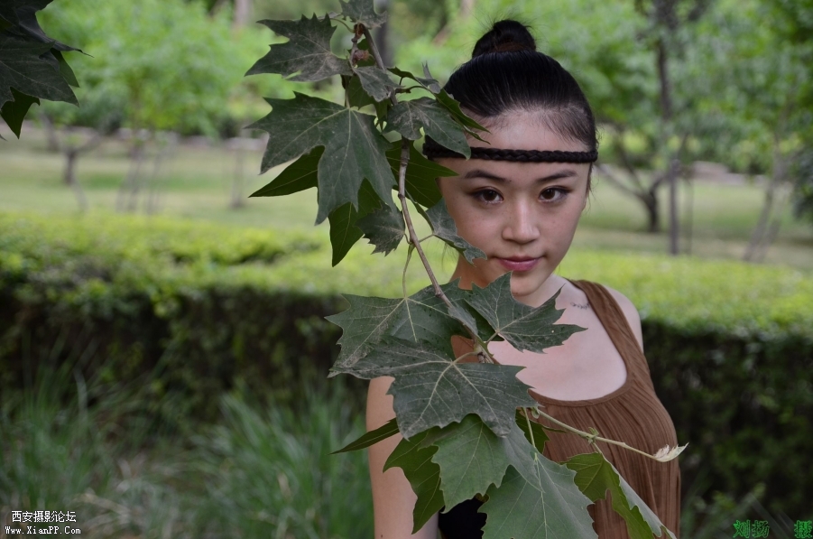 My Documents_DSC7173.JPG