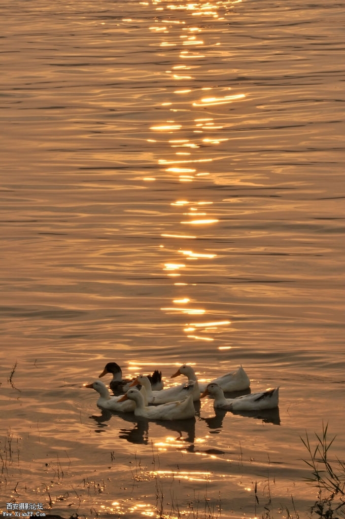 DSC_1871.jpg