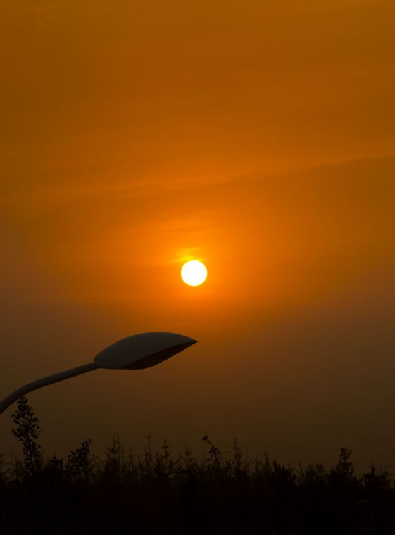 20110616-_MG_5185-1.jpg