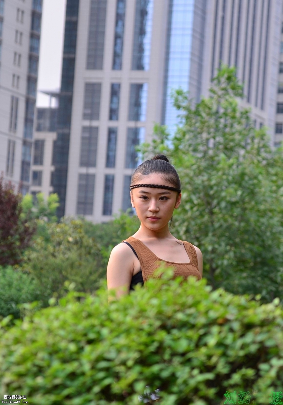 My Documents_DSC7010.JPG