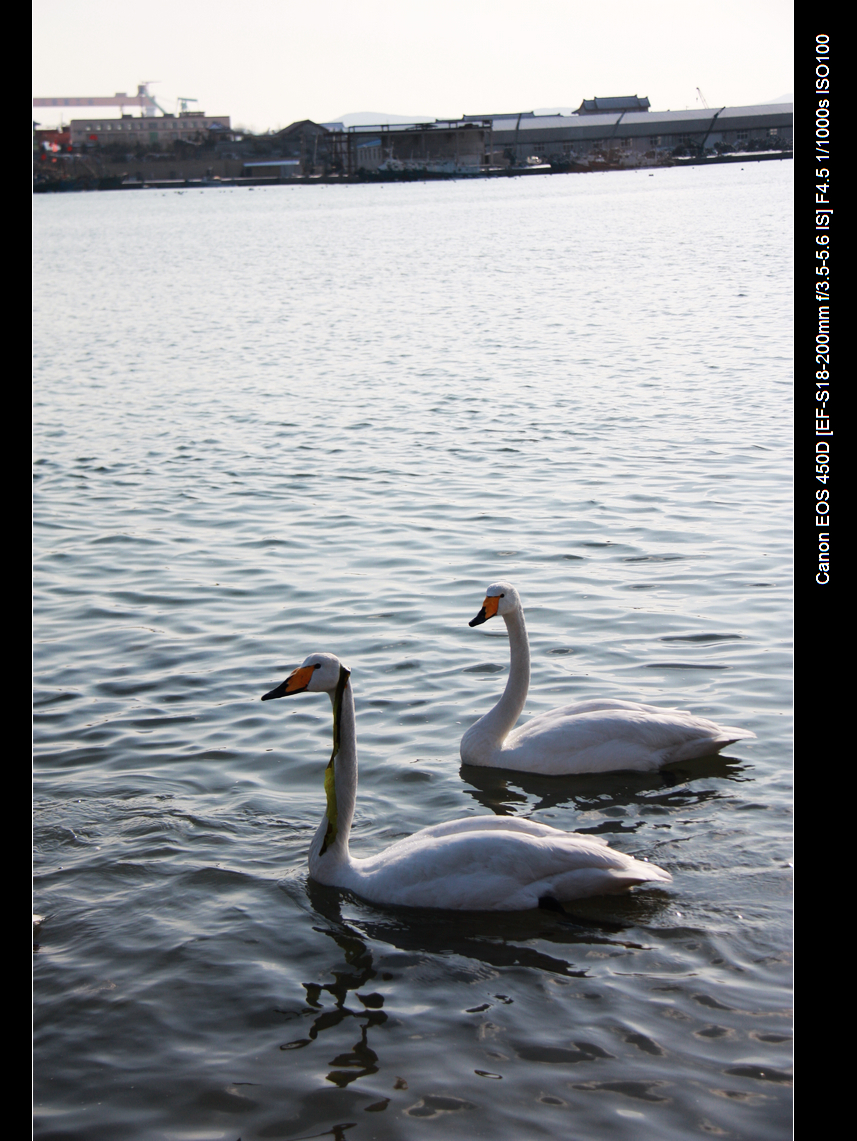 IMG_2776.JPG