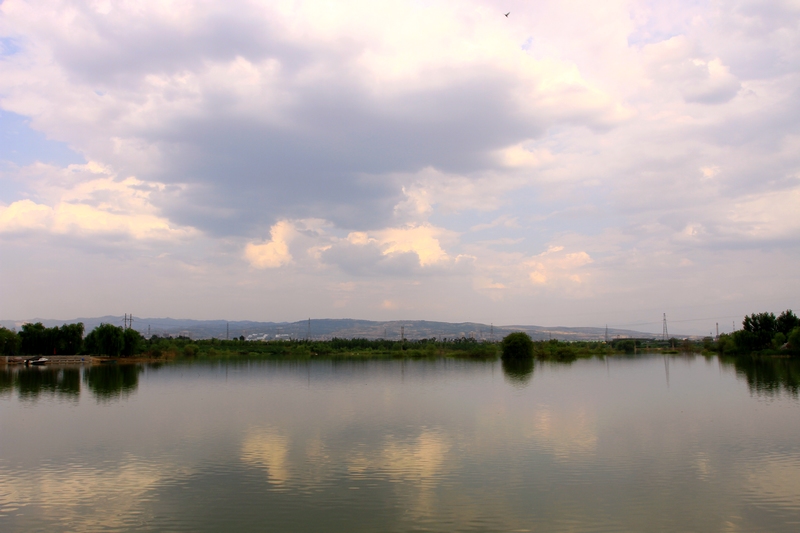 灞河湿地 026.jpg