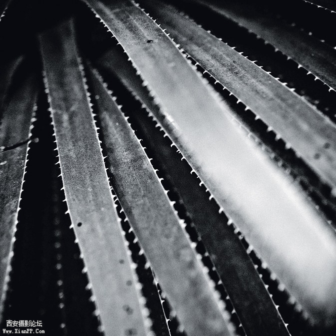 p082-4-673x673.jpg