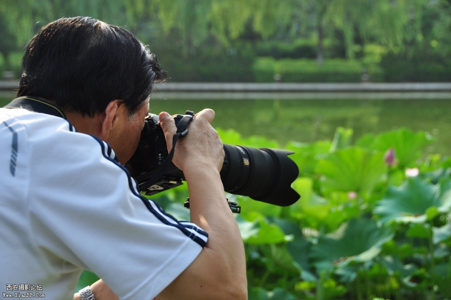 DSC_0855 (92).jpg