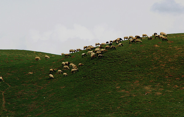 旅游 216_副本.jpg