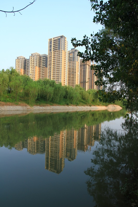 黄山旅游照片 1125.jpg