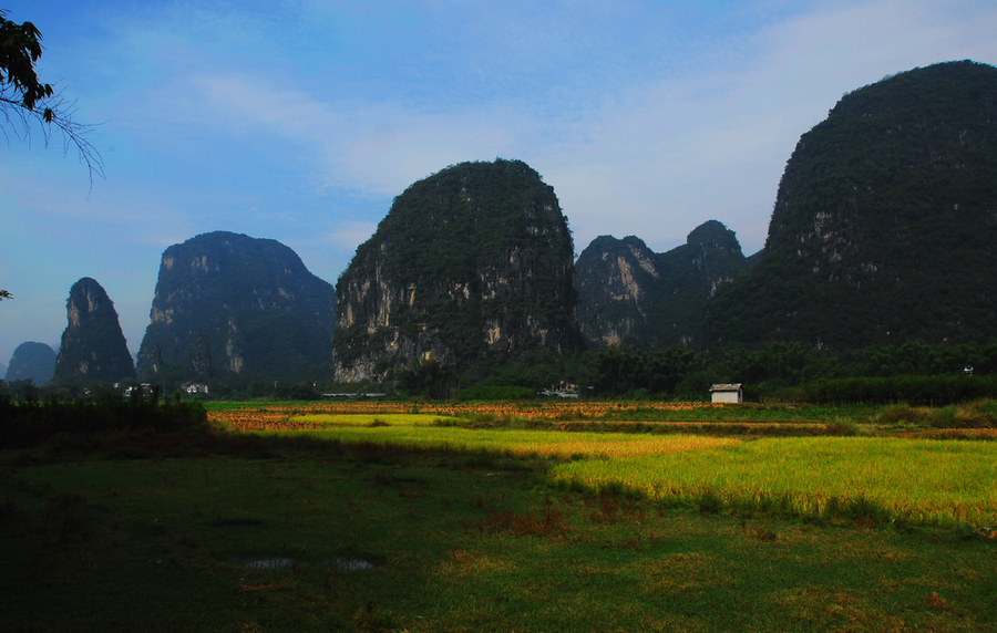 DSC_0072.JPG