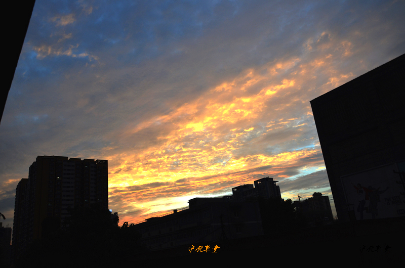 DSC_0004.jpg