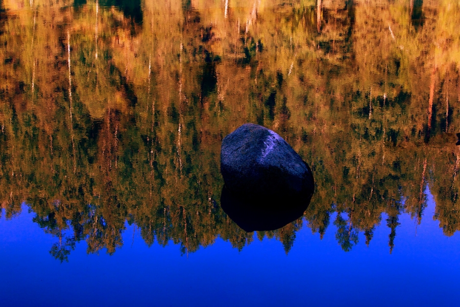 _MG_0817.JPG