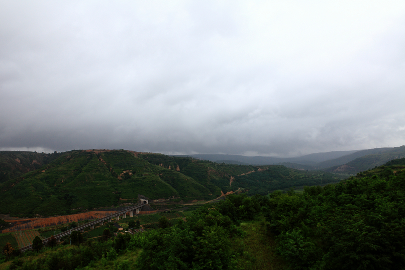 IMG_2790.jpg