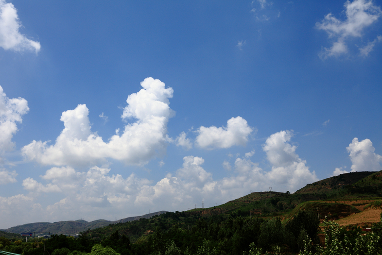 IMG_2799.jpg