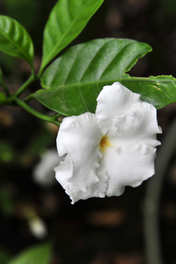 c_LB14391.jpg
