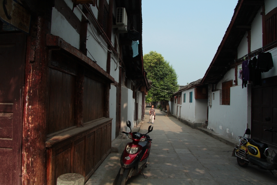IMG_8351.JPG