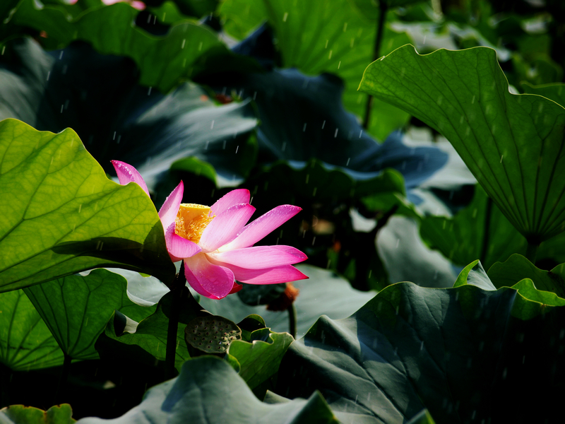 U7015724.jpg