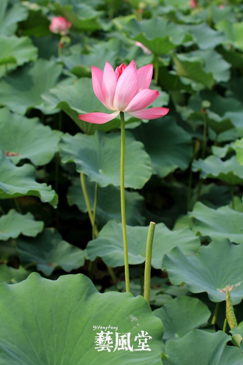 照片 002.jpg