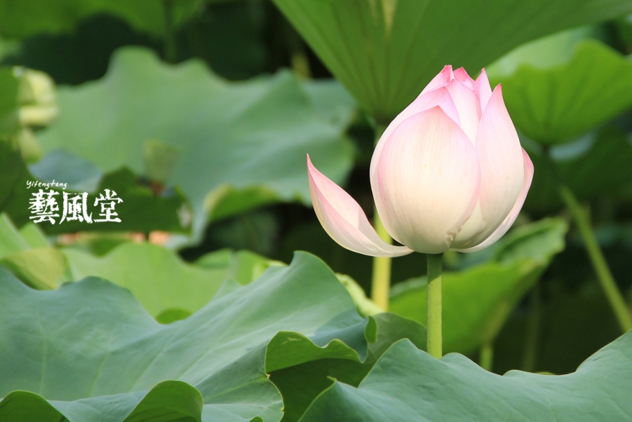 照片 004.jpg