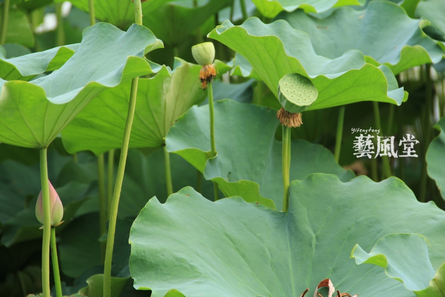 照片 027.jpg