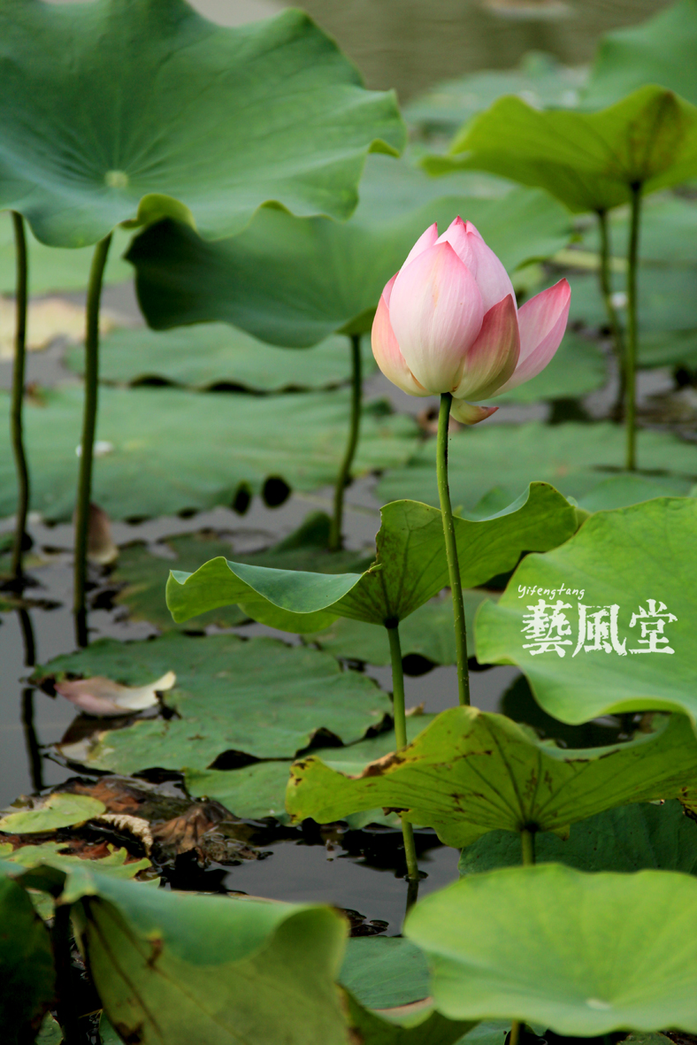 照片 071.jpg