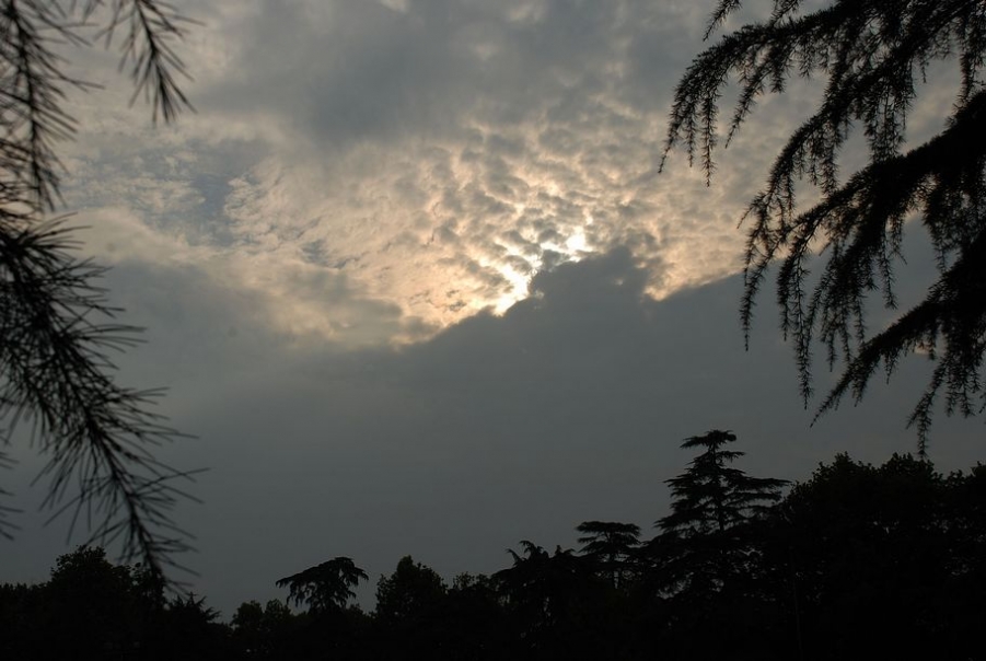DSC_0547.JPG