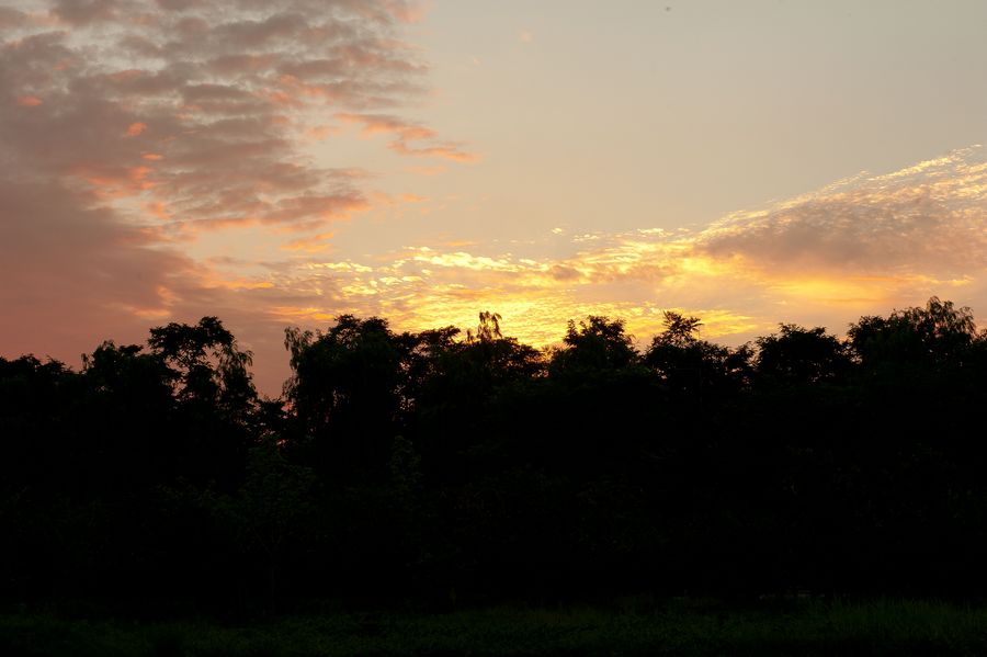 DSC_0223.jpg