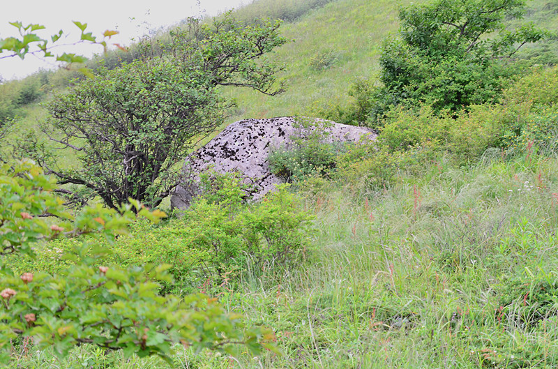 照片 087_副本.jpg