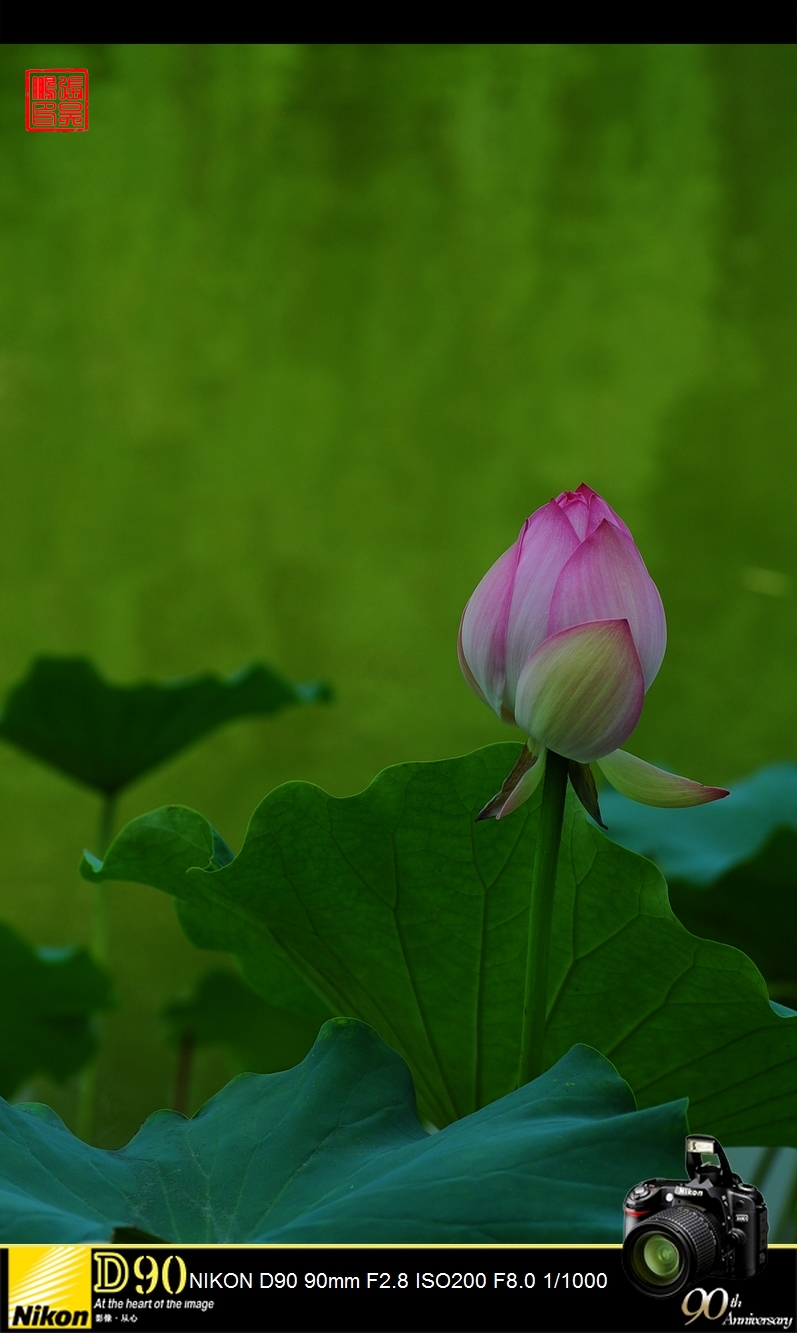DSC_0005.jpg