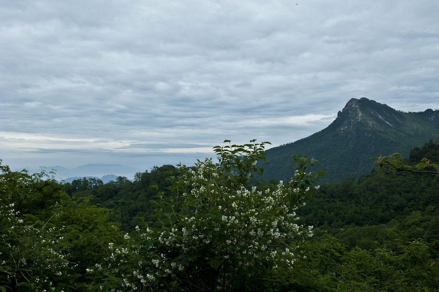 DSC_9137.jpg