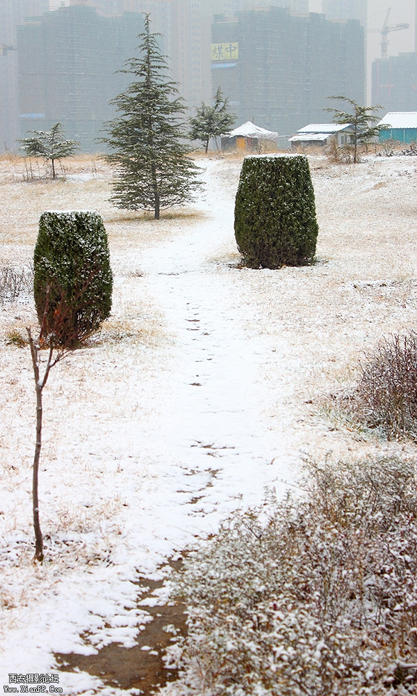 生活区有个未开发的小土坳，是座墓，住着一个我们不知名的公主