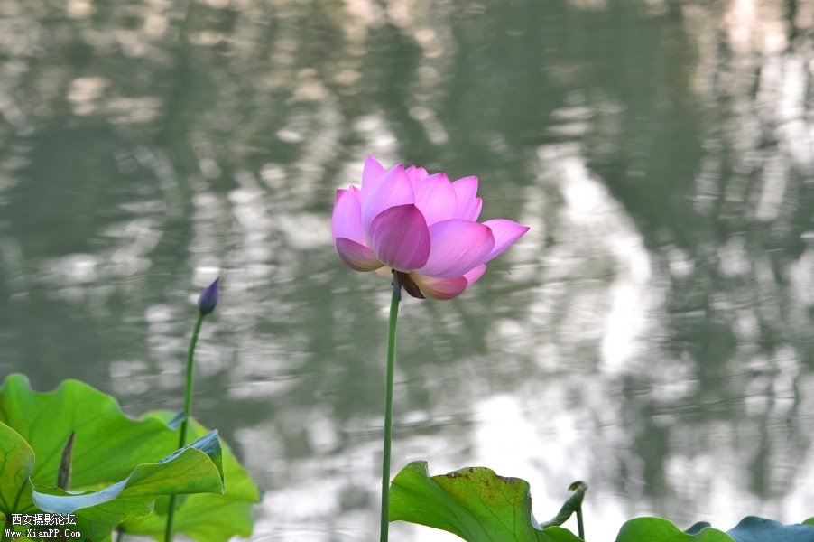 照片 030.jpg