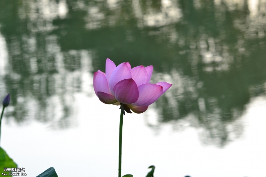 照片 033.jpg