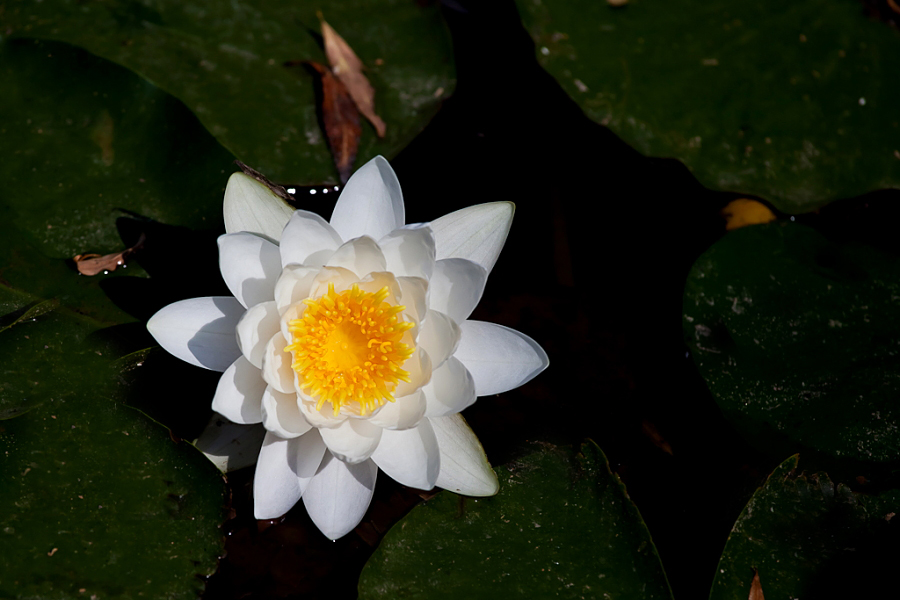 DPP_0011.JPG
