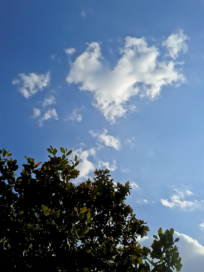 IMG_20120607_170758.jpg