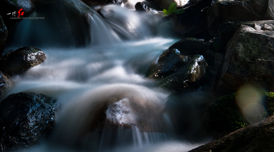 DSC_1822.jpg