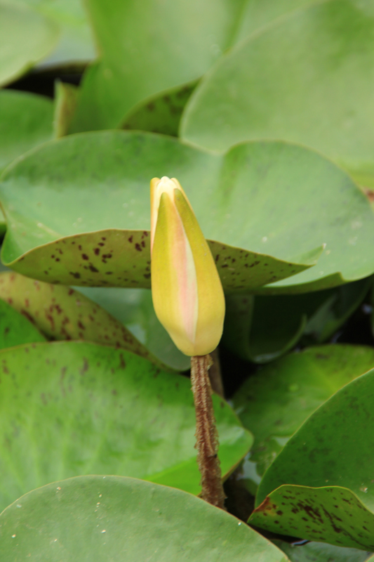 照片 081.jpg