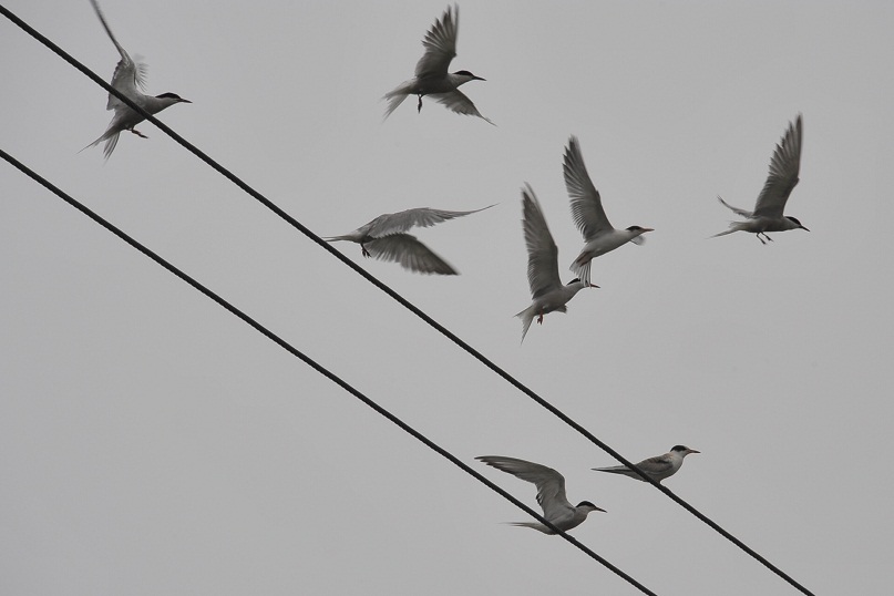 DSC_9814.JPG