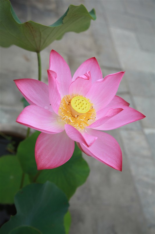 照片 006.jpg