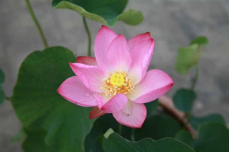 照片 025.jpg