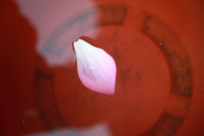 照片 079.jpg