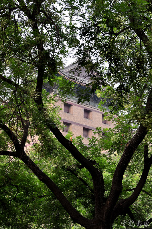 DSC_1438.jpg